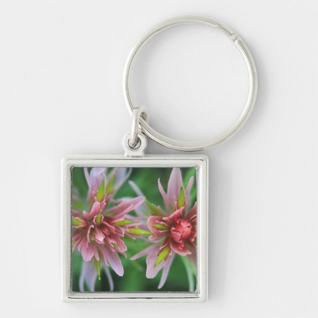 Indian Paintbrush, Banff NP, Alberta, Canada Key Ring (Front)