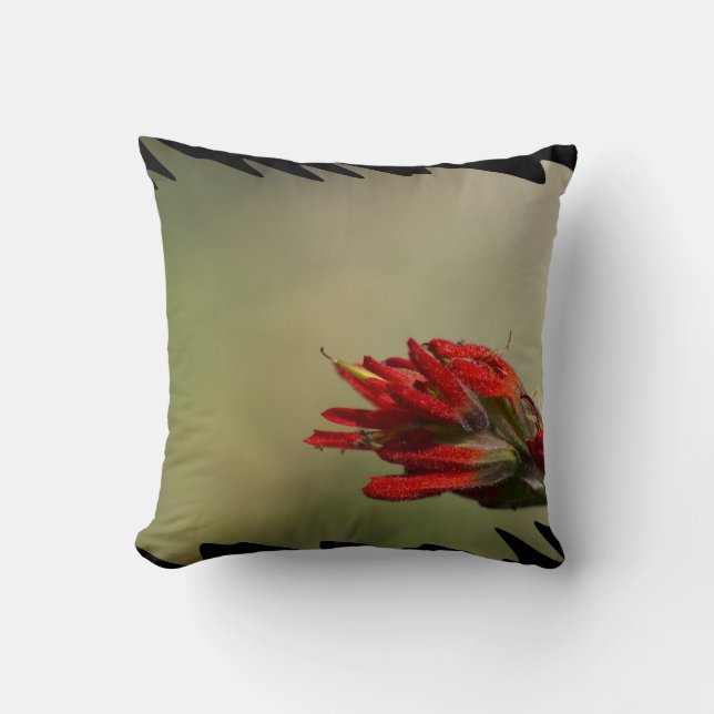 Indian Paintbrush Black Edge Cushion (Front)