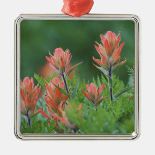 Indian Paintbrush, Castilleja miniata, Ouray, Metal Ornament