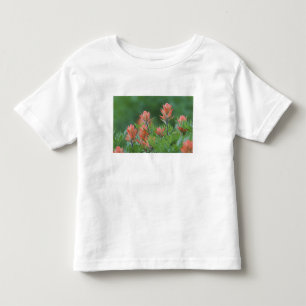 Indian Paintbrush, Castilleja miniata, Ouray, Toddler T-Shirt