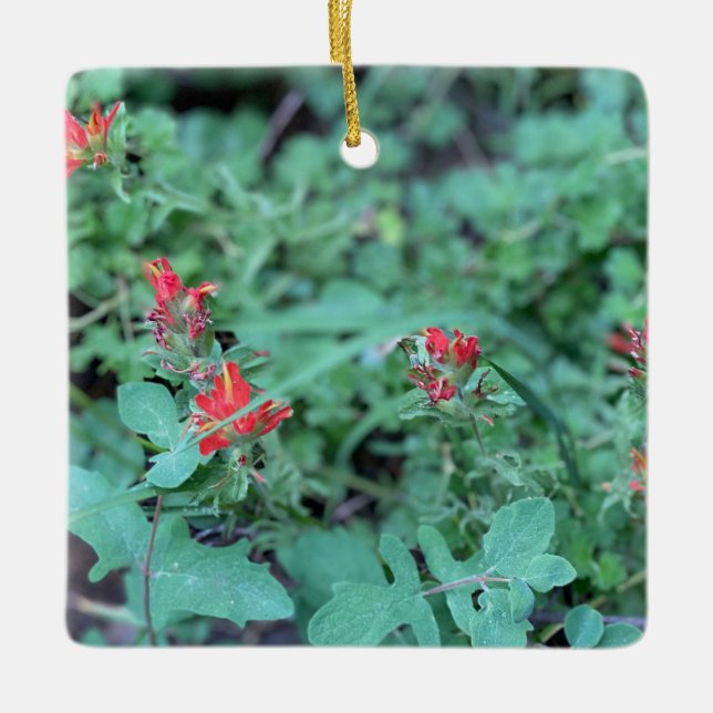 Indian Paintbrush Ceramic Ornament (Front)