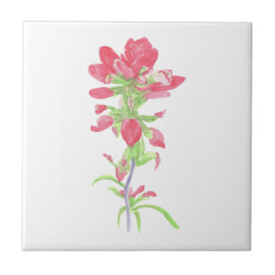 Indian Paintbrush Ceramic Tile