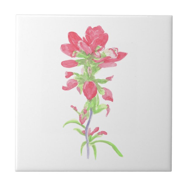 Indian Paintbrush Ceramic Tile (Front)