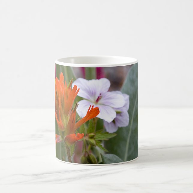 Indian Paintbrush Coffee Mug (Center)