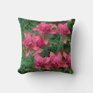 Indian Paintbrush Cushion