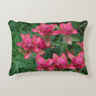 Indian Paintbrush Decorative Cushion