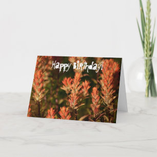 Indian Paintbrush; Happy Birthday Card