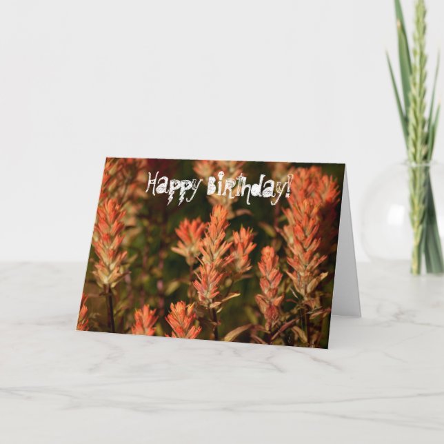 Indian Paintbrush; Happy Birthday Card (Front)