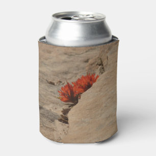 Indian Paintbrush in Rocks at Zion Can Cooler