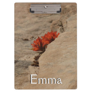 Indian Paintbrush in Rocks at Zion Clipboard