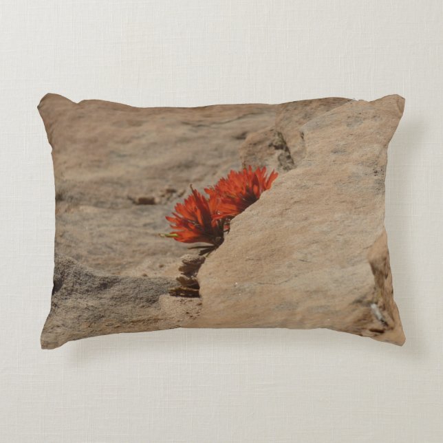 Indian Paintbrush in Rocks at Zion Decorative Cushion (Front)