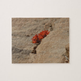 Indian Paintbrush in Rocks at Zion Jigsaw Puzzle
