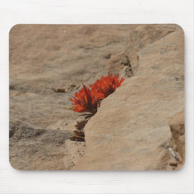 Indian Paintbrush in Rocks at Zion Mouse Pad (Front)
