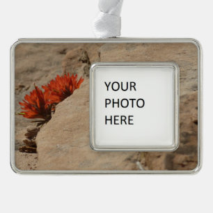Indian Paintbrush in Rocks at Zion Silver Plated Framed Ornament