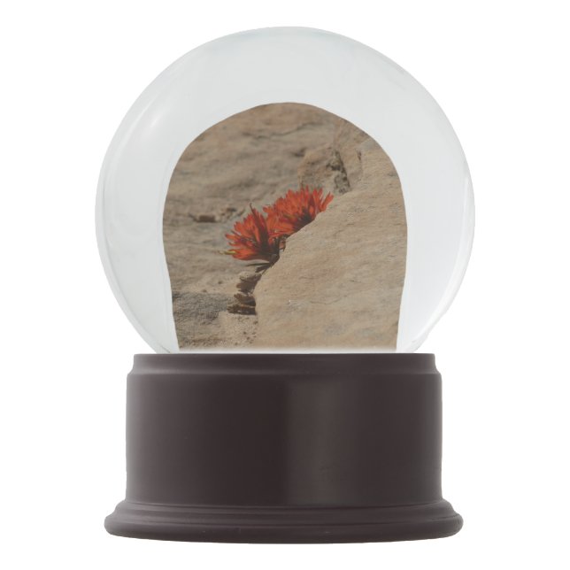 Indian Paintbrush in Rocks at Zion Snow Globe (Front)