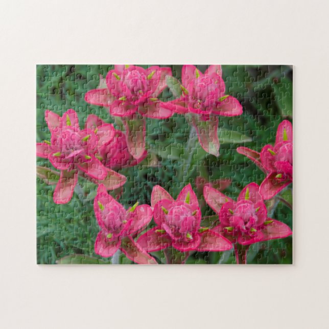 Indian Paintbrush Jigsaw Puzzle (Horizontal)