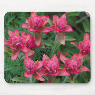 Indian Paintbrush Mouse Pad