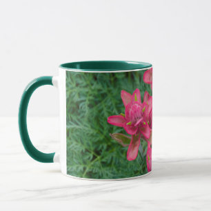 Indian Paintbrush Mug