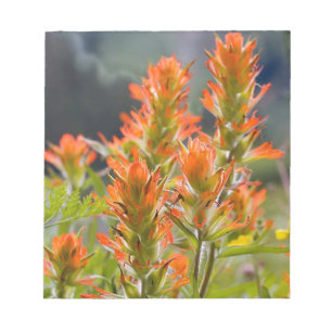 Indian Paintbrush Notepad