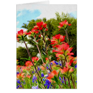 Indian Paintbrush on Canvas