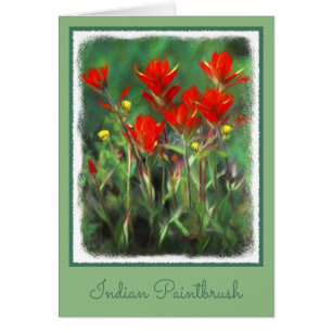 Indian Paintbrush Painting - Original Flower Art