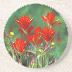 Indian Paintbrush Painting - Original Flower Art Coaster