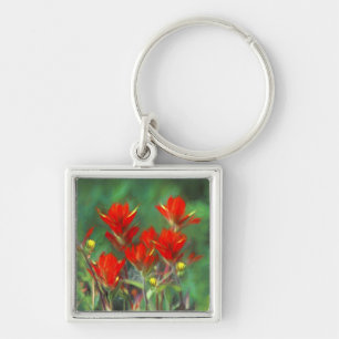 Indian Paintbrush Painting - Original Flower Art Key Ring