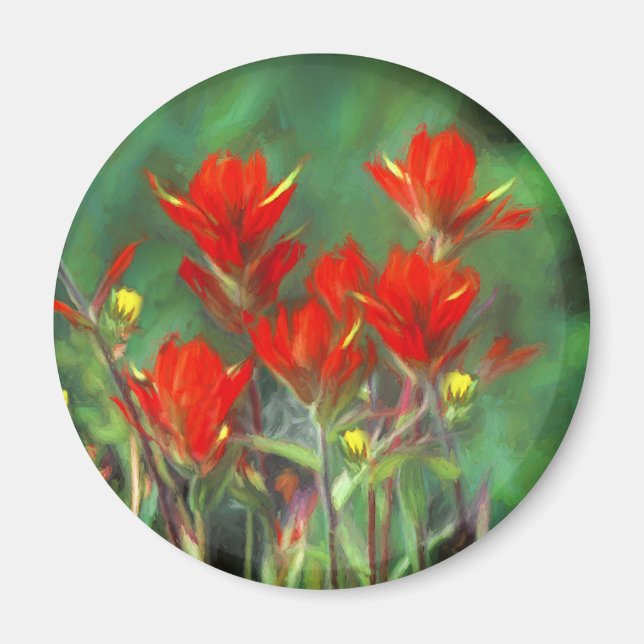 Indian Paintbrush Painting - Original Flower Art Magnet (Front)
