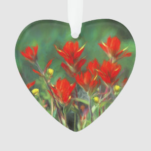 Indian Paintbrush Painting - Original Flower Art Ornament