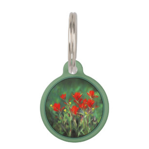 Indian Paintbrush Painting - Original Flower Art Pet Tag