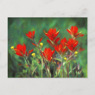 Indian Paintbrush Painting - Original Flower Art Postcard