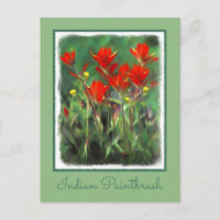 Indian Paintbrush Painting - Original Flower Art