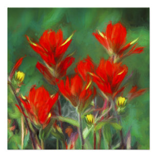 Indian Paintbrush Painting - Original Flower Art Poster