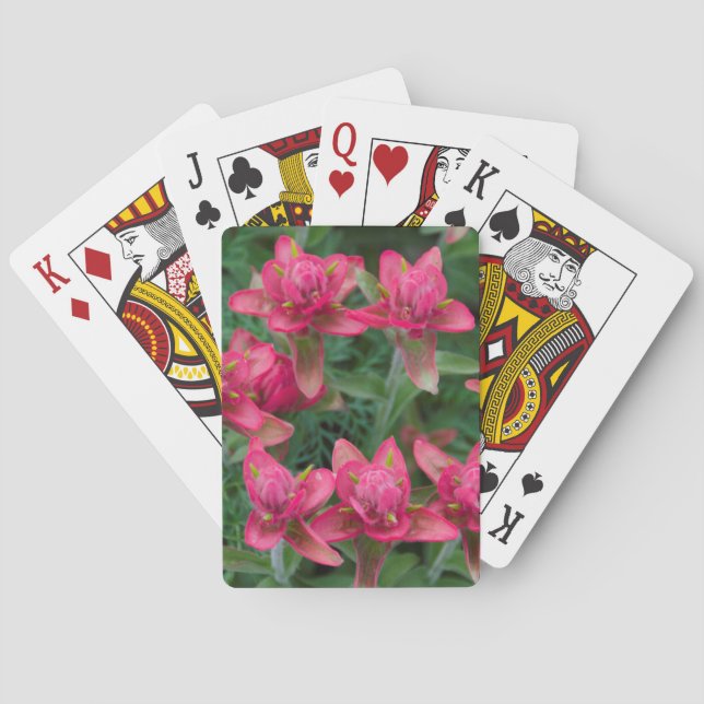 Indian Paintbrush Playing Cards (Back)
