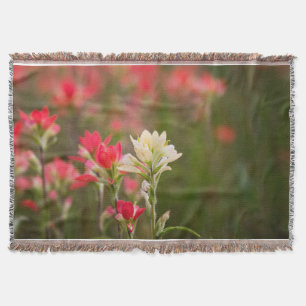 Indian Paintbrush Throw Blanket