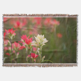 Indian Paintbrush Throw Blanket