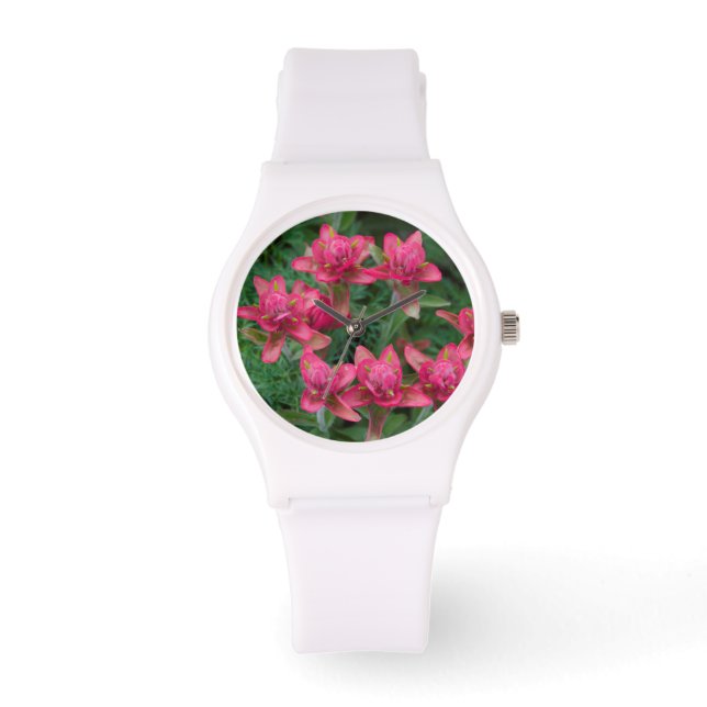 Indian Paintbrush Watch (Front)