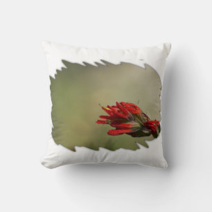 Indian Paintbrush Wide White Edge Cushion