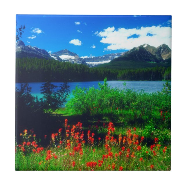 Indian Paintbrush Wildflowers Ceramic Tile (Front)