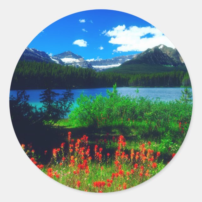 Indian Paintbrush Wildflowers Classic Round Sticker (Front)