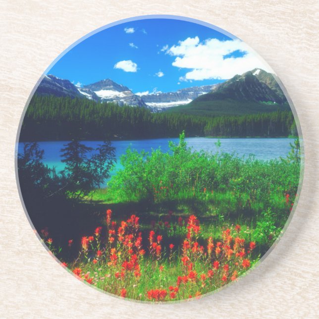 Indian Paintbrush Wildflowers Coaster (Front)