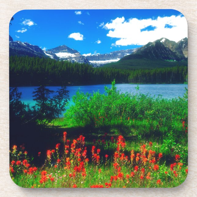 Indian Paintbrush Wildflowers Coaster (Front)