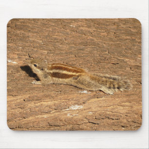 Indian Palm Squirrel on a Tree Trunk Mouse Pad