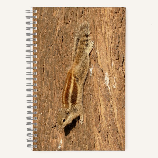Indian Palm Squirrel on a Tree Trunk Notebook (Front)