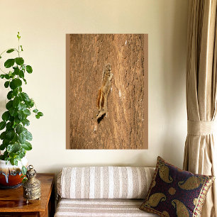 Indian Palm Squirrel on a Tree Trunk Photo Print