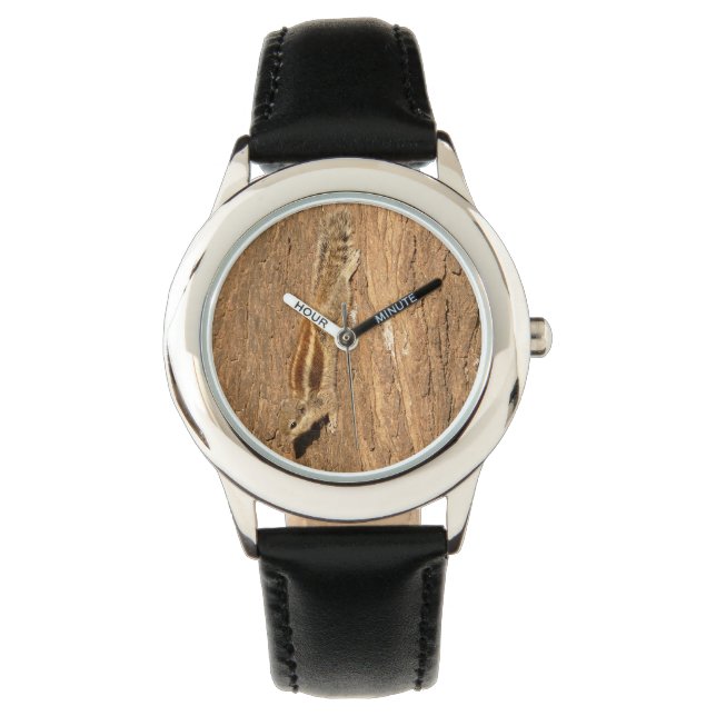 Indian Palm Squirrel on a Tree Trunk Watch (Front)