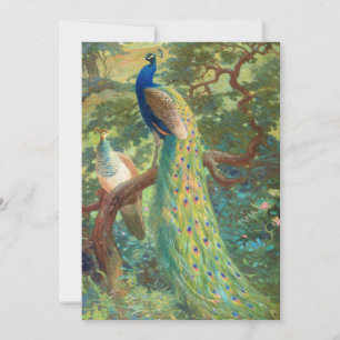 Indian Peafowl   Charles Robert Knight