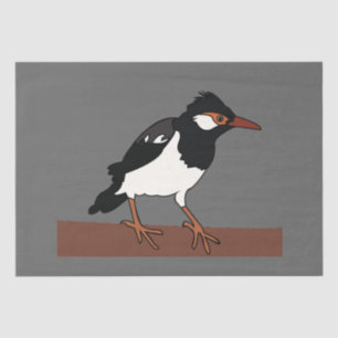 Indian Pied Myna Bird Art Tissue Paper