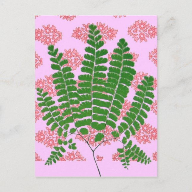 Indian Print Fern Pinks Postcard (Front)
