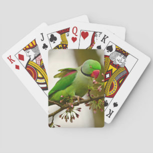 Indian ring-neck Parrot Playing Cards
